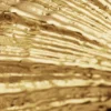 Gold-Plated Shell Ring Zalio