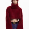 Pack Cropped Sweater and Beanie