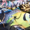 Scarf Designed by Mr. Christian Lacroix