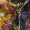 Scarf Designed by Mr. Christian Lacroix