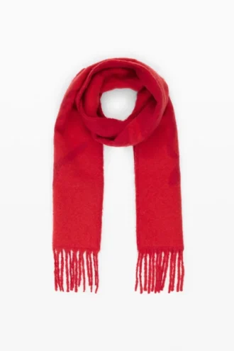 Scarf with Fringes