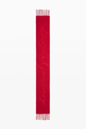 Scarf with Fringes