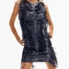 Sequin Fringe Dress Sequin Fringe Dress