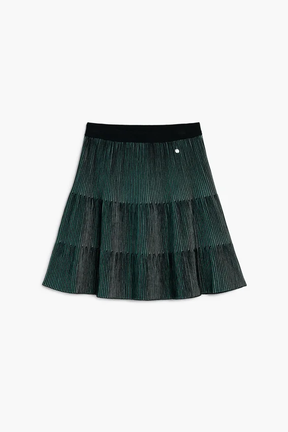 Short Pleated Skirt Short Pleated Skirt