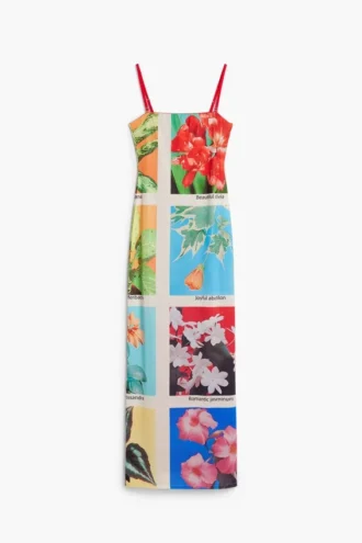 Tyler Mcgillivary Postcard Maxi Dress