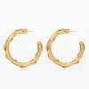 Zalio Gold-Plated Crystal Earrings